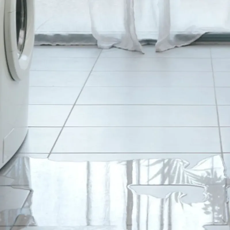 Appliance Leak Cleanup in Gate City, VA