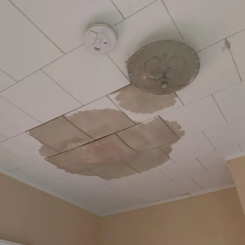 Ceiling Water Damage Repair in Gate City, VA