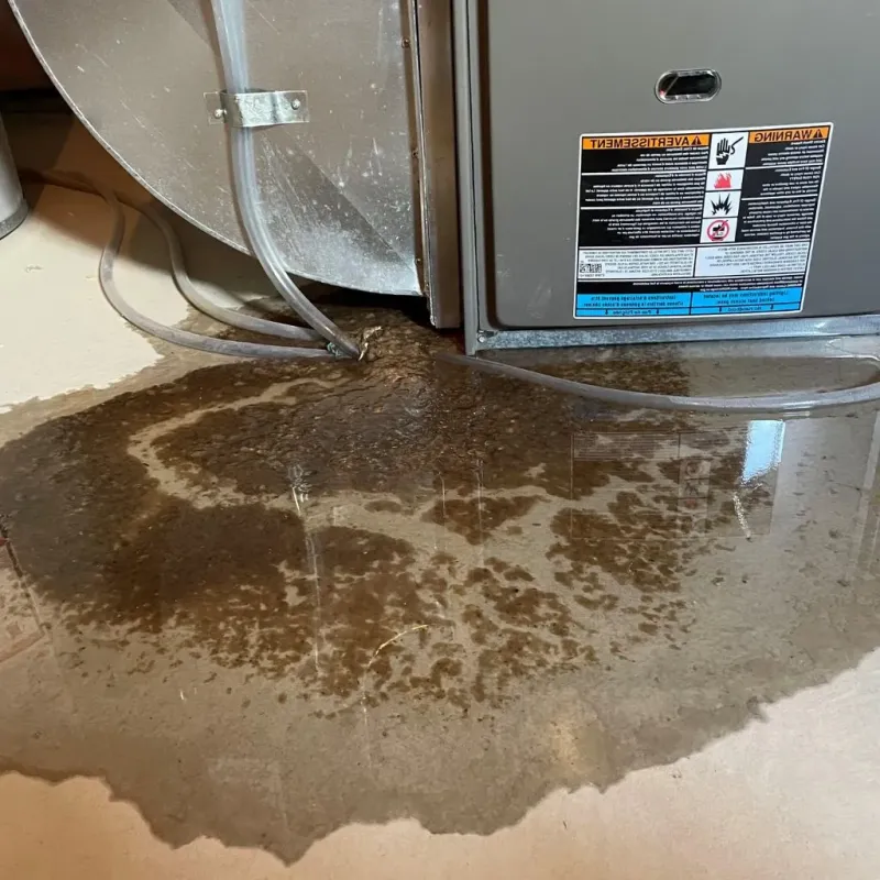Pipe Burst and Leak Restoration in Gate City, VA