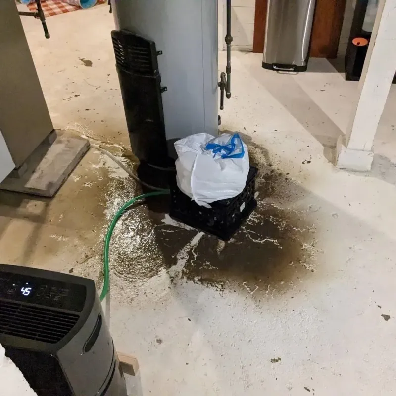 Sewage Backup Cleanup Service in Gate City, VA
